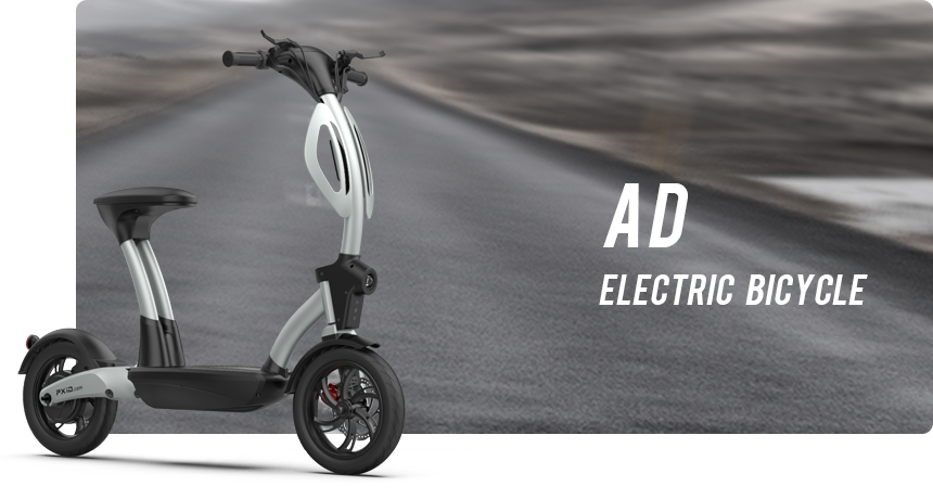 AD Electric Bike