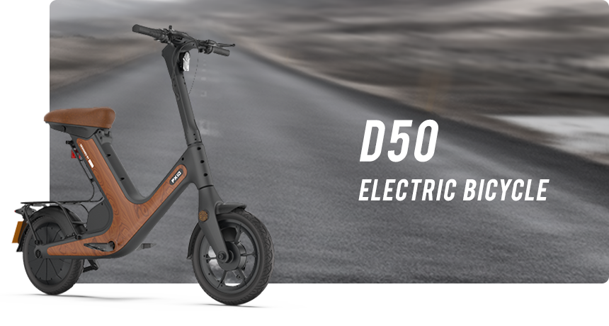 D50 Electric Bike